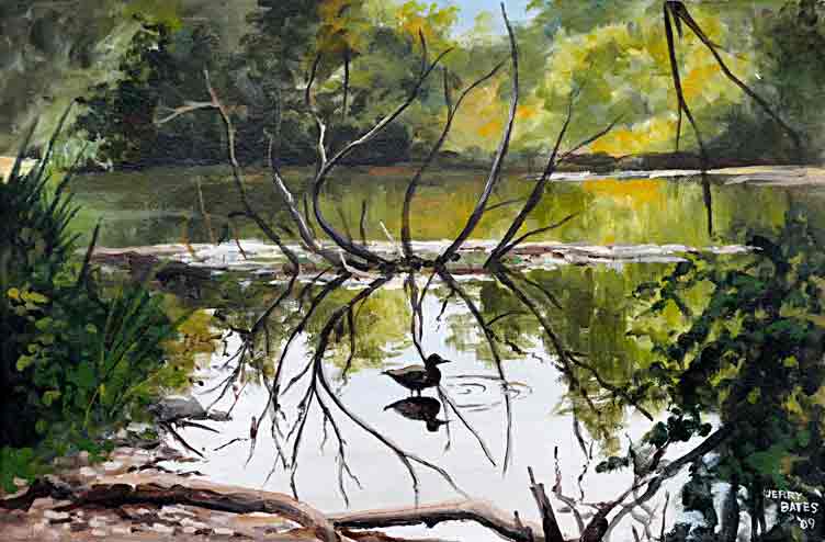 lake shore with branches an bird