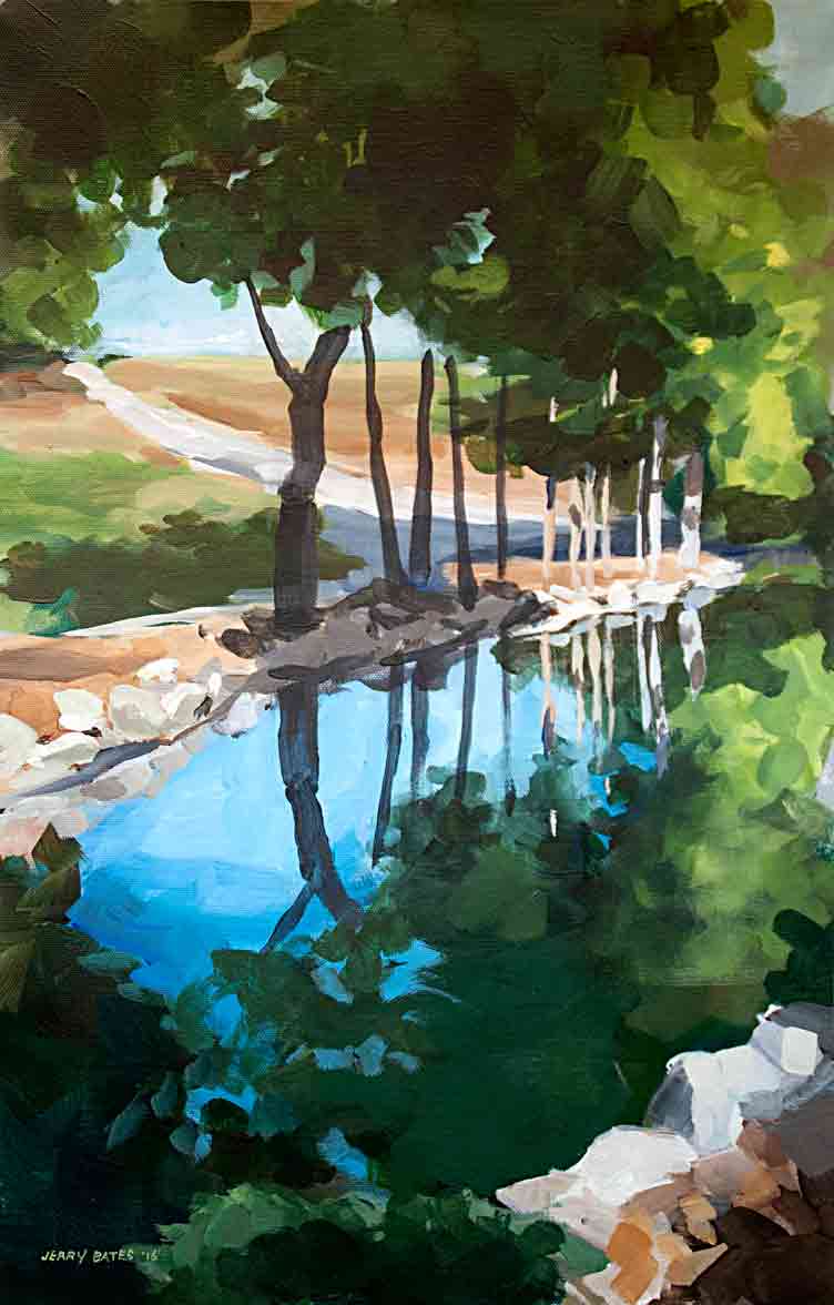 pond bank with reflecting trees